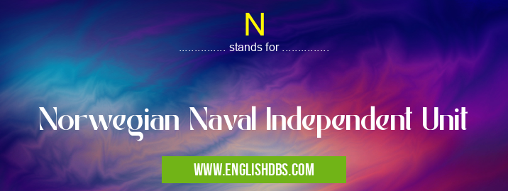 N means Norwegian Naval Independent Unit N