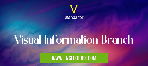 V means Visual Information Branch V