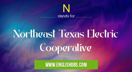 N means Northeast Texas Electric Cooperative N