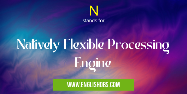 N means Natively Flexible Processing Engine N