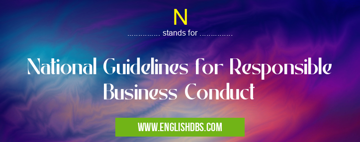 N means National Guidelines for Responsible Business Conduct N