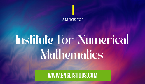 I means Institute for Numerical Mathematics I