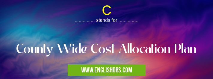 C means County Wide Cost Allocation Plan C