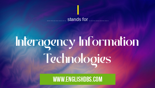 I means Interagency Information Technologies I