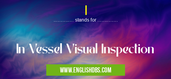 I means In Vessel Visual Inspection I