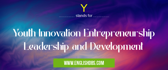 Y means Youth Innovation Entrepreneurship Leadership and Development Y