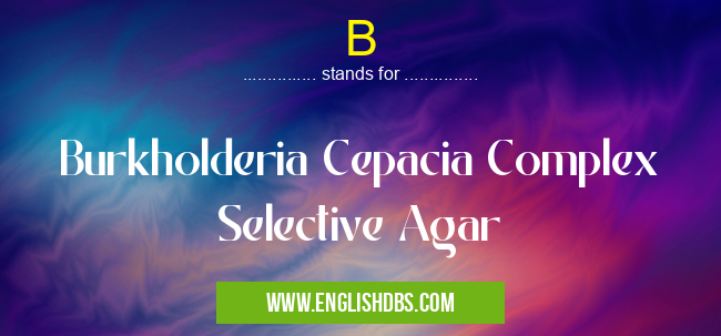 B means Burkholderia Cepacia Complex Selective Agar B