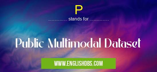 P means Public Multimodal Dataset P