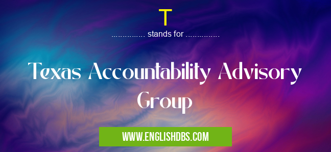 T means Texas Accountability Advisory Group T