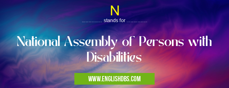 N means National Assembly of Persons with Disabilities N