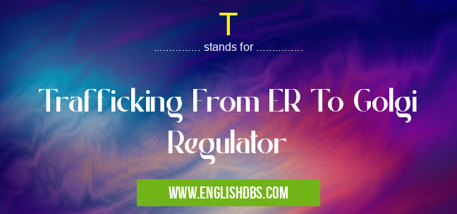 T means Trafficking From ER To Golgi Regulator T