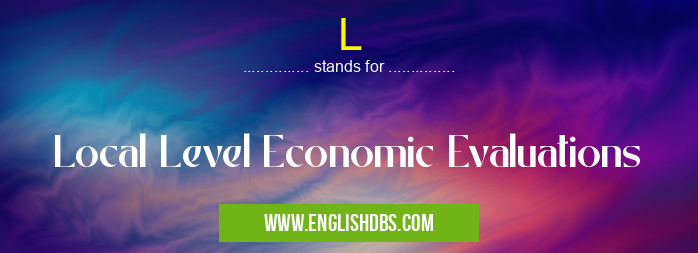 L means Local Level Economic Evaluations L
