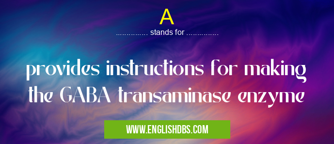 A means provides instructions for making the GABA transaminase enzyme A