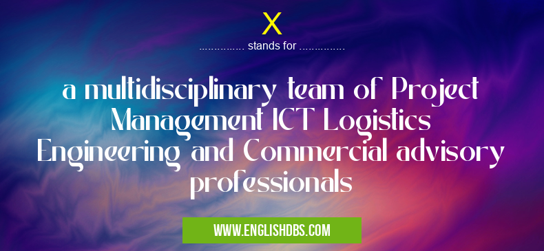 X means a multidisciplinary team of Project Management ICT Logistics Engineering and Commercial advisory professionals X
