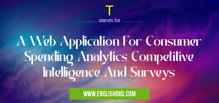 T means A Web Application For Consumer Spending Analytics Competitive Intelligence And Surveys T