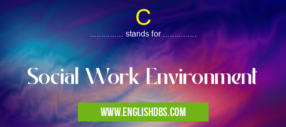 C means Social Work Environment C