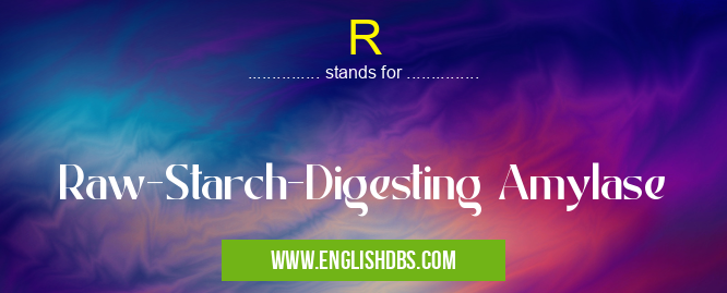 R means Raw-Starch-Digesting Amylase R