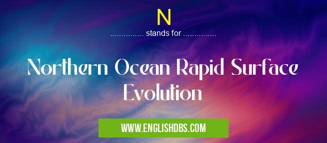 N means Northern Ocean Rapid Surface Evolution N