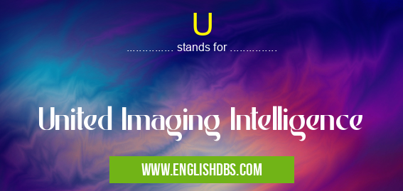 U means United Imaging Intelligence U