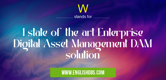W means 1 state of the art Enterprise Digital Asset Management DAM solution W