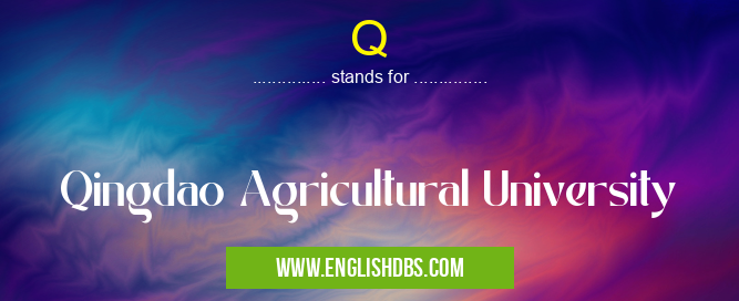 Q means Qingdao Agricultural University Q