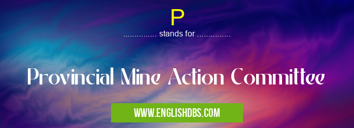 P means Provincial Mine Action Committee P