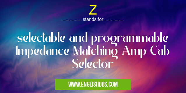 Z means selectable and programmable Impedance Matching Amp Cab Selector Z
