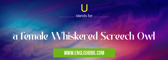 U means a female Whiskered Screech Owl U