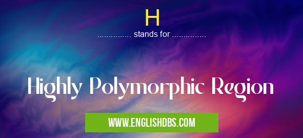 H means Highly Polymorphic Region H