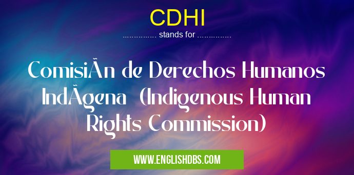 CDHI means Comisión de Derechos Humanos IndÃgena (Indigenous Human Rights Commission) CDHI