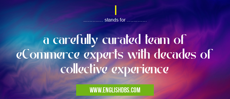 I means a carefully curated team of eCommerce experts with decades of collective experience I