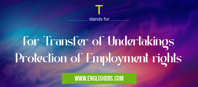 T means for Transfer of Undertakings Protection of Employment rights T