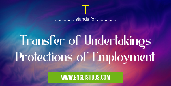 T means Transfer of Undertakings Protections of Employment T