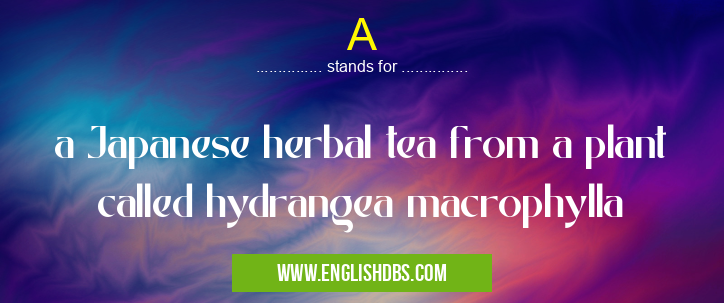 A means a Japanese herbal tea from a plant called hydrangea macrophylla A