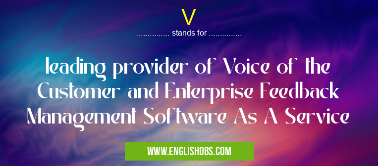 V means leading provider of Voice of the Customer and Enterprise Feedback Management Software As A Service V
