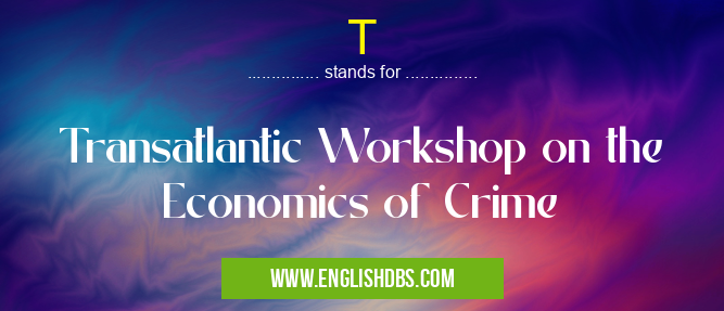 T means Transatlantic Workshop on the Economics of Crime T