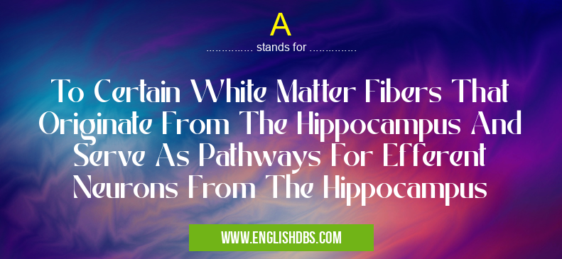 A means To Certain White Matter Fibers That Originate From The Hippocampus And Serve As Pathways For Efferent Neurons From The Hippocampus A