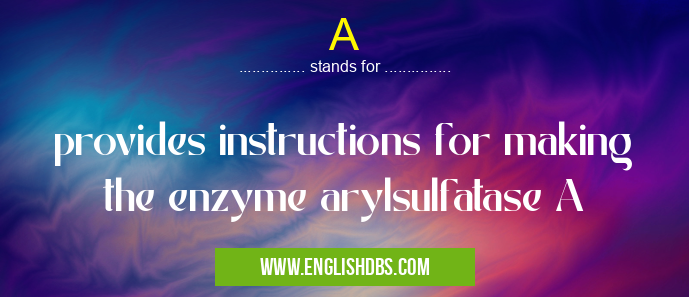 A means provides instructions for making the enzyme arylsulfatase A A