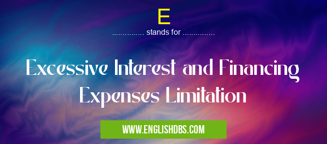 E means Excessive Interest and Financing Expenses Limitation E