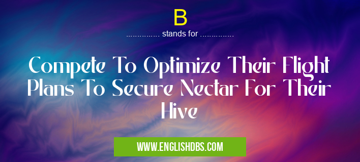 B means Compete To Optimize Their Flight Plans To Secure Nectar For Their Hive B