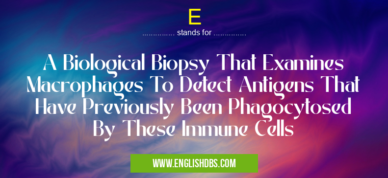 E means A Biological Biopsy That Examines Macrophages To Detect Antigens That Have Previously Been Phagocytosed By These Immune Cells E