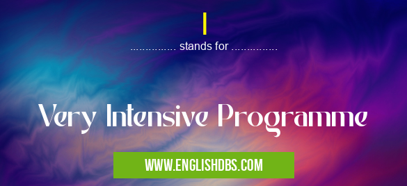 I means Very Intensive Programme I