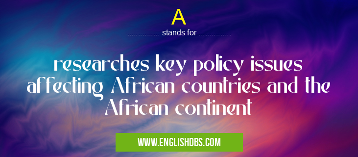 A means researches key policy issues affecting African countries and the African continent A