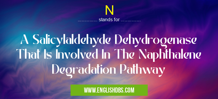 N means A Salicylaldehyde Dehydrogenase That Is Involved In The Naphthalene Degradation Pathway N