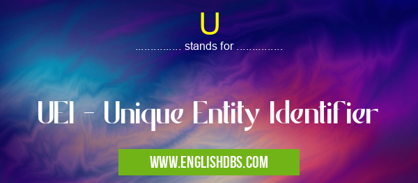 U means UEI - Unique Entity Identifier U