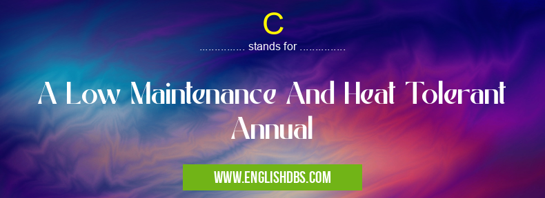 C means A Low Maintenance And Heat Tolerant Annual C