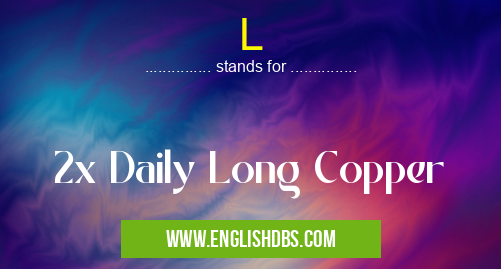 L means 2x Daily Long Copper L