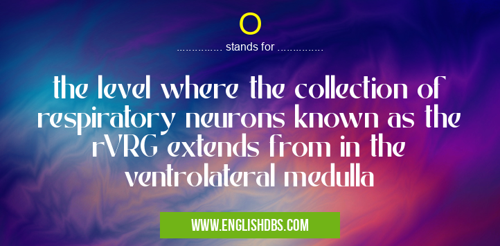 O means the level where the collection of respiratory neurons known as the rVRG extends from in the ventrolateral medulla O
