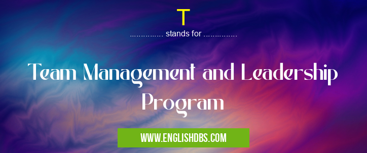 T means Team Management and Leadership Program T