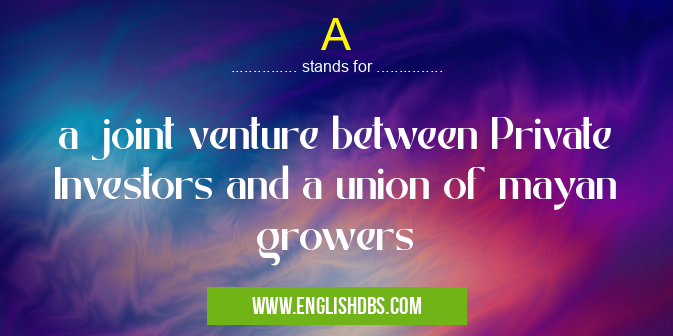A means a joint venture between Private Investors and a union of mayan growers A
